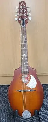 Seagull Guitars - S41596